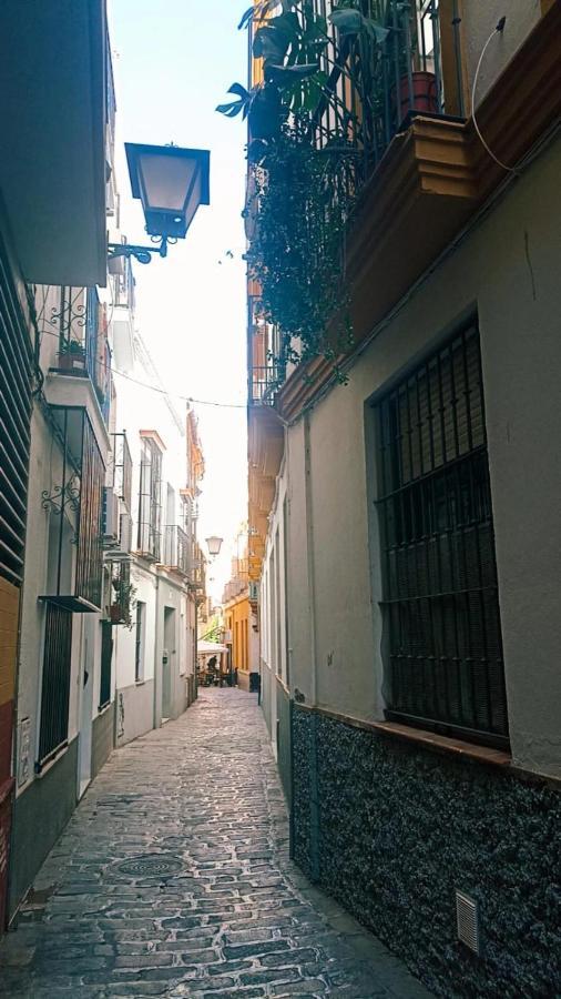 Rentalsevilla Tintes エクステリア 写真